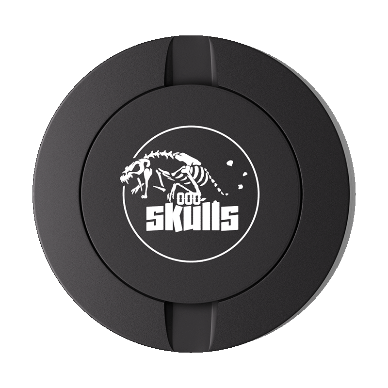 Skulls Design Black Metal Two-Tie Container Cans-Snuseveryday