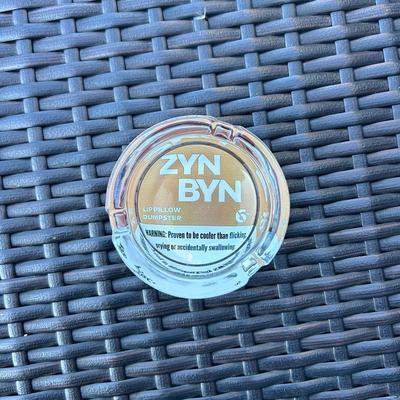 Official Lip Pillow Dumpster - The Perfect Gift for Him or Her to Cleanup in Style!-Snuseveryday