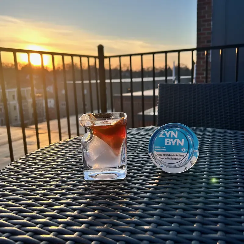 Official Lip Pillow Dumpster - The Perfect Gift for Him or Her to Cleanup in Style!-Snuseveryday