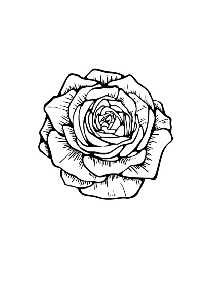 Sketch Flower Printed High Waist Waist-Defining Essential Short-sleeve Top For Women