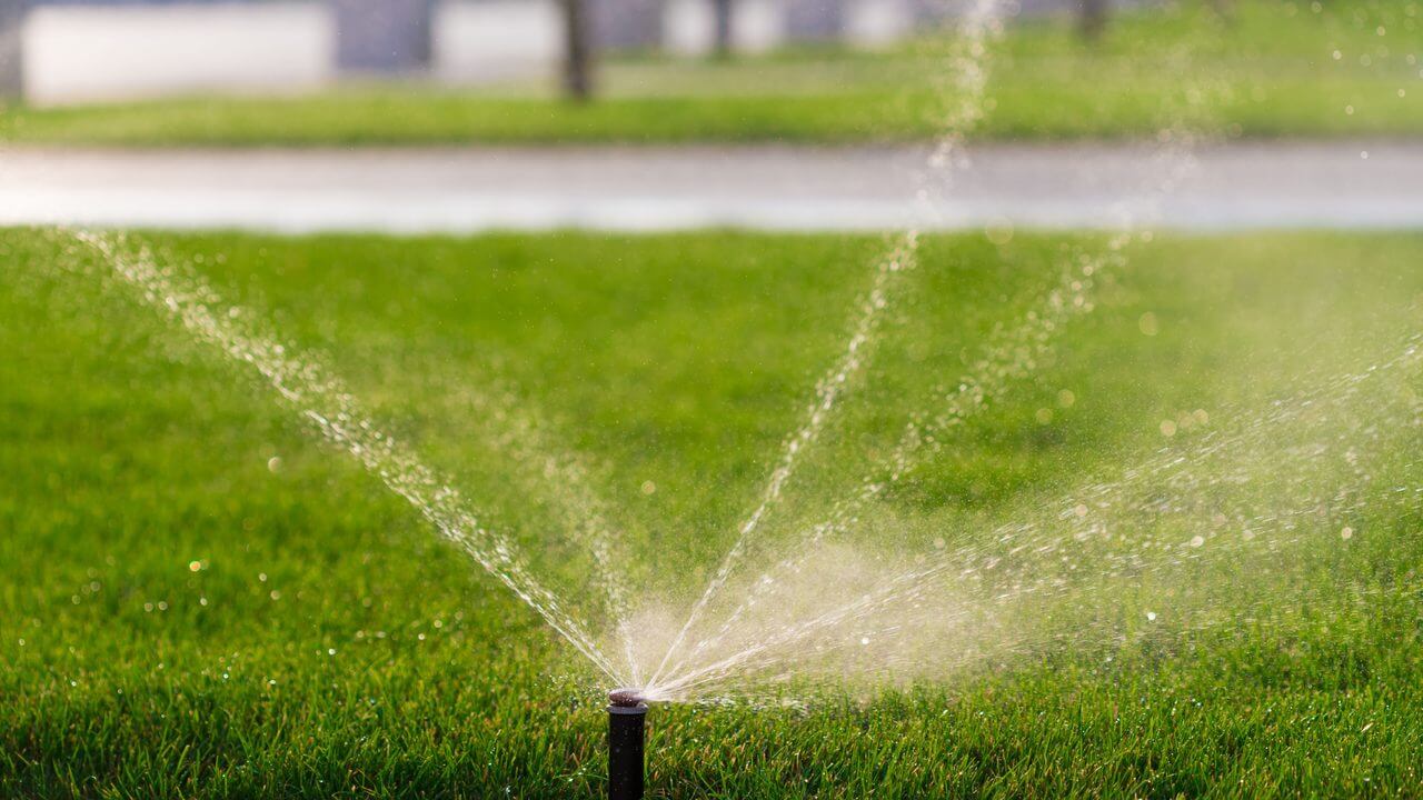 Sprinklers spraying water