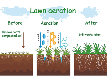 Benefits of aeration- infographic by Juan Rodriguez