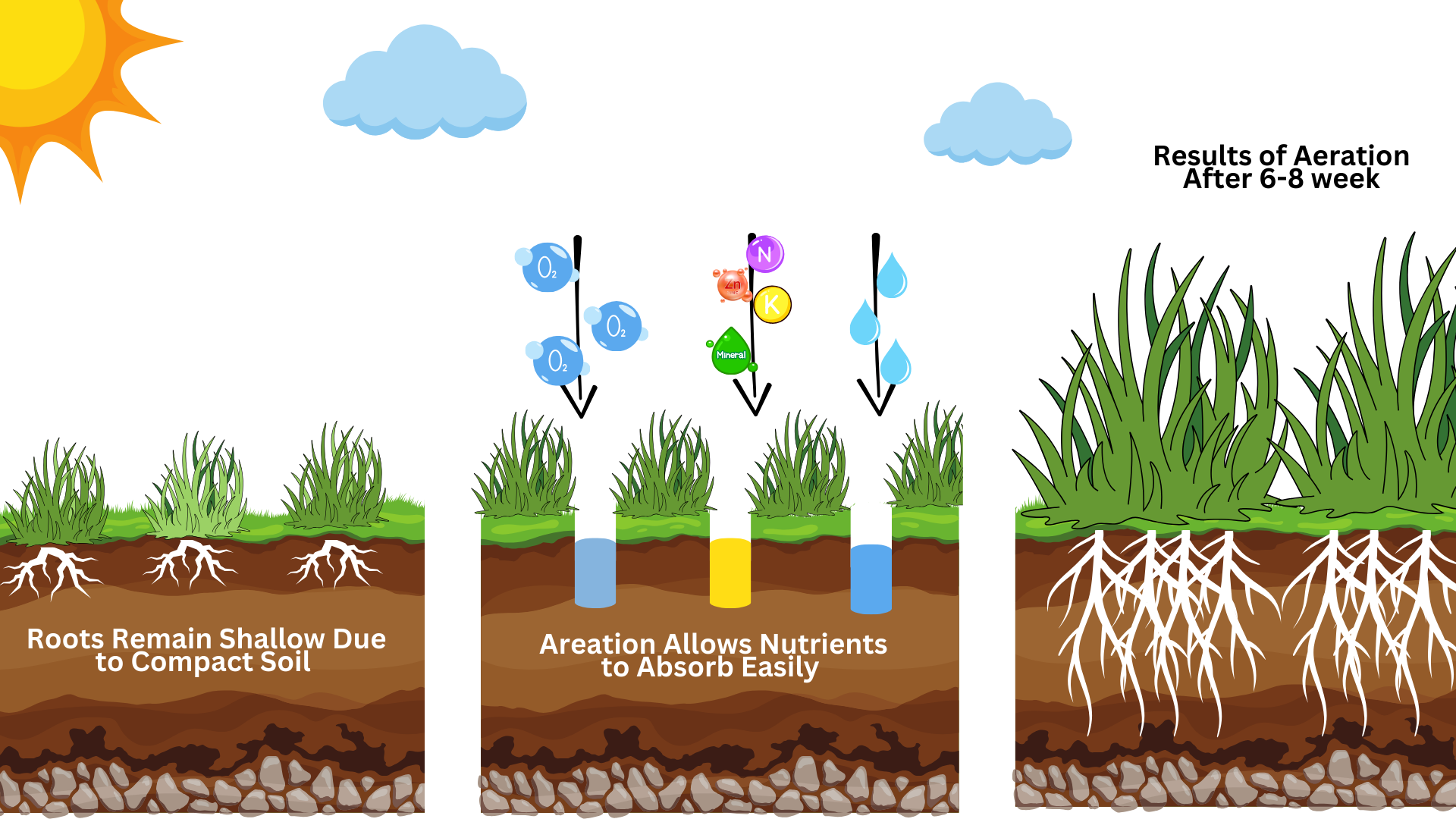 Lawn aeration explained 