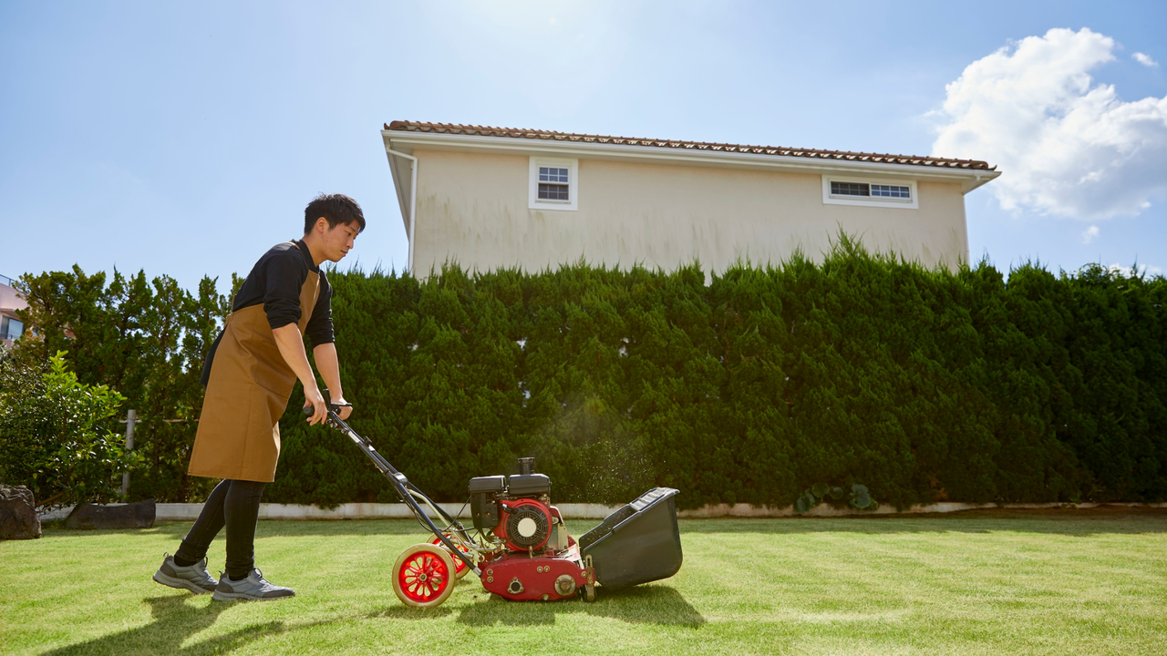 Push Reel Mowers