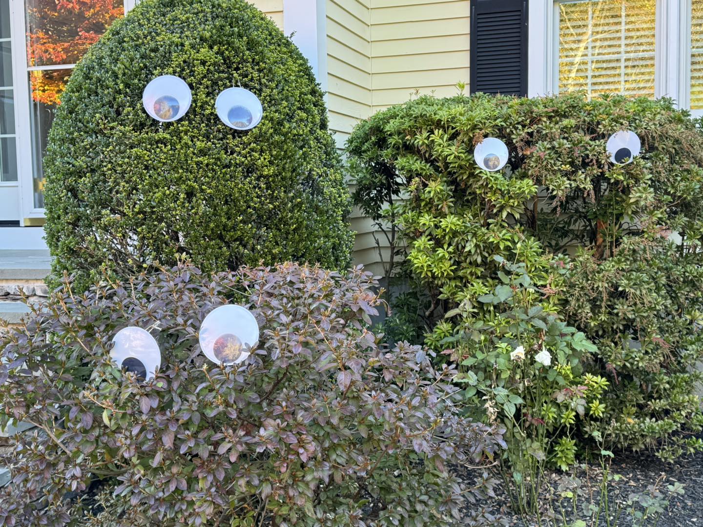 Googly Eye Garden with Smart Sprinklers
