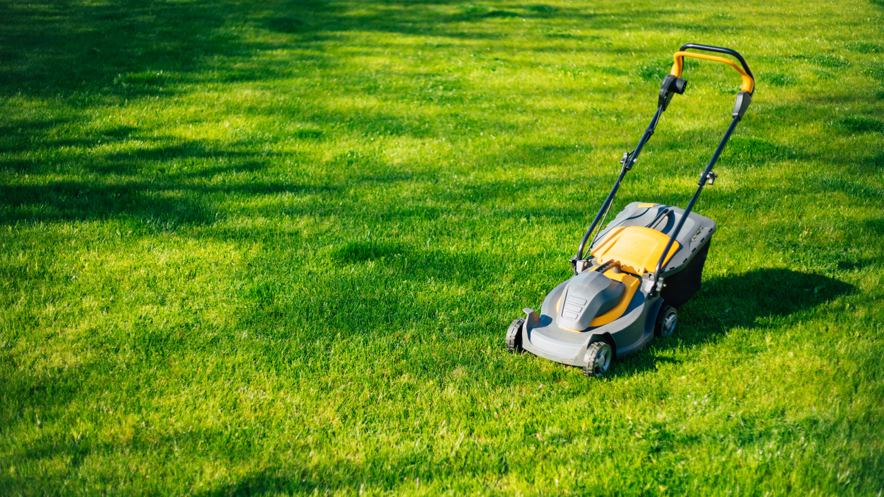 Electric Push Mowers