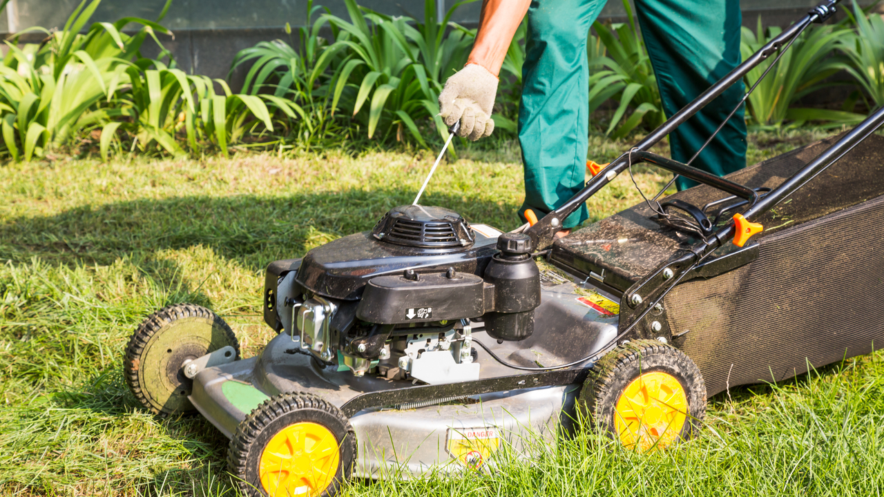 Gas-Powered Push Mowers