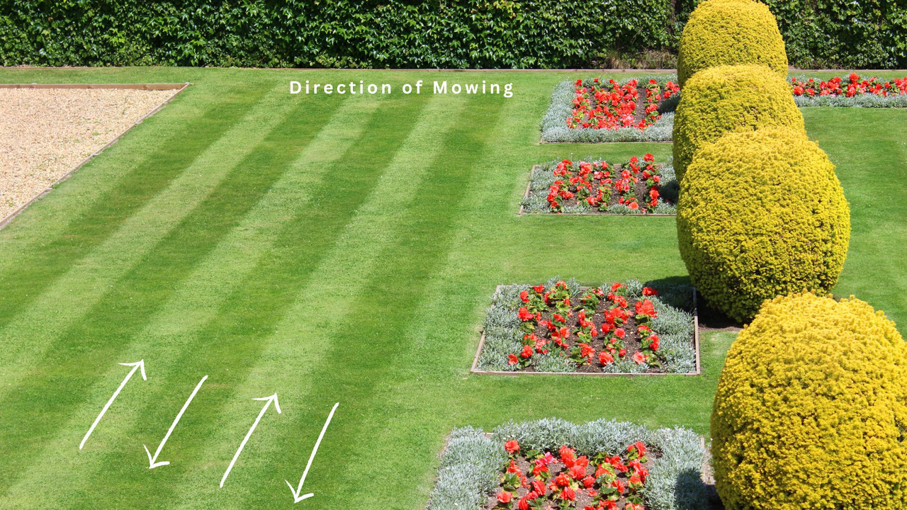 Direction of mowing for stripes 
