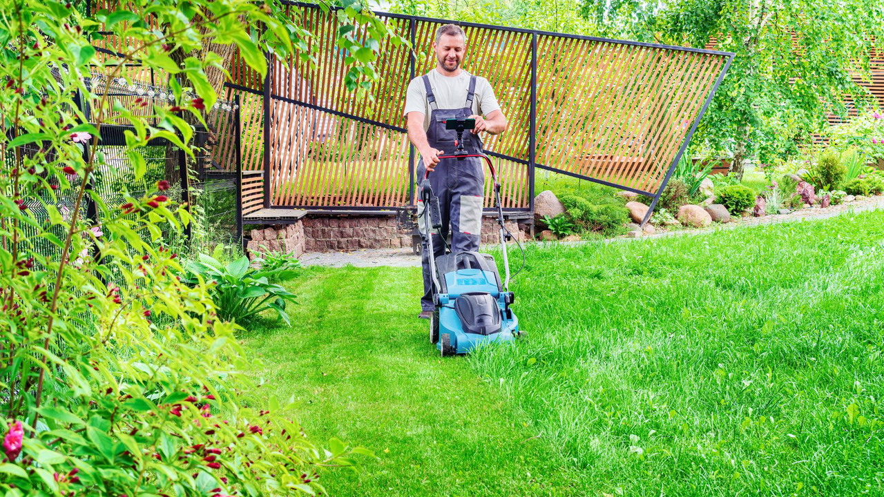 lawn mowing frequency-cover image