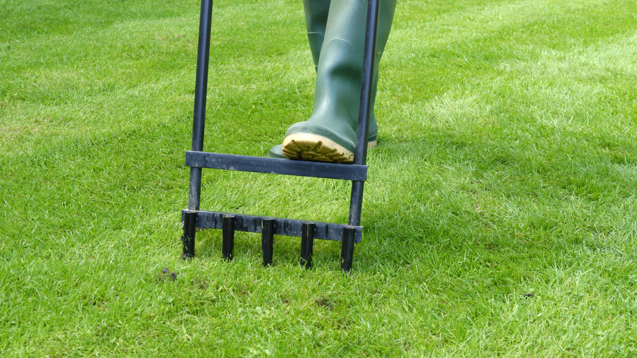 Lawn aerations