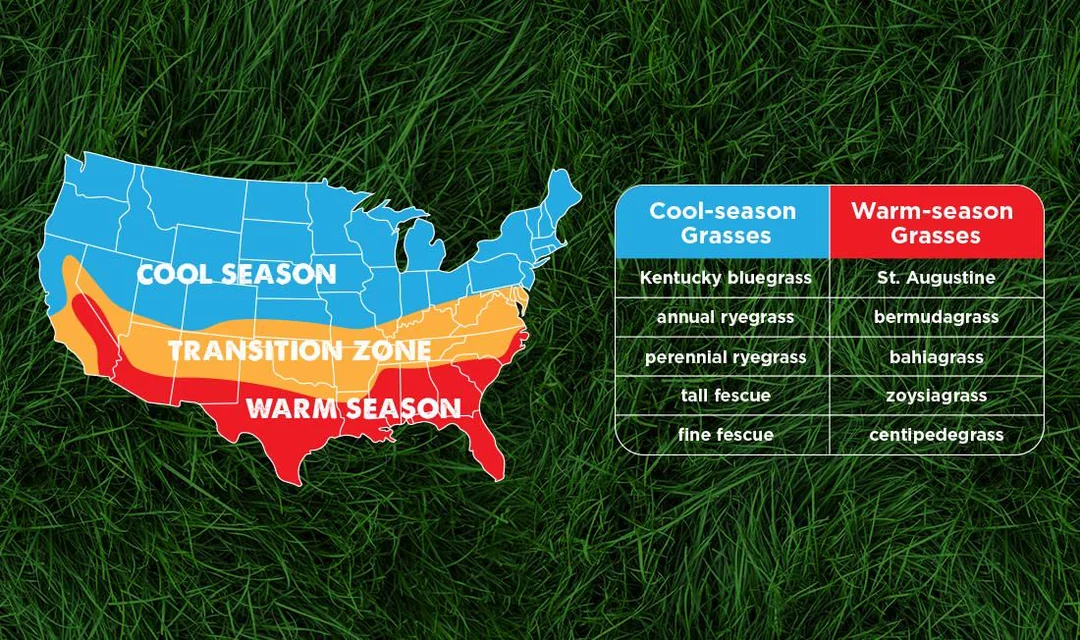 Grass suitable for different regions based on climate