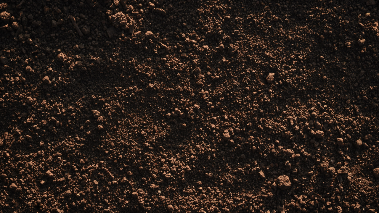 areated loose soil