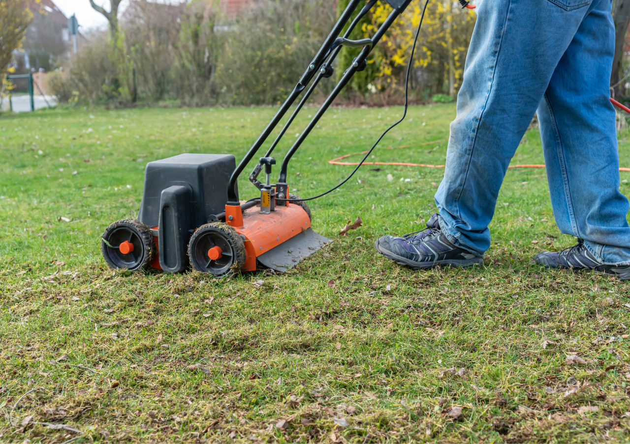 Push lawn mower