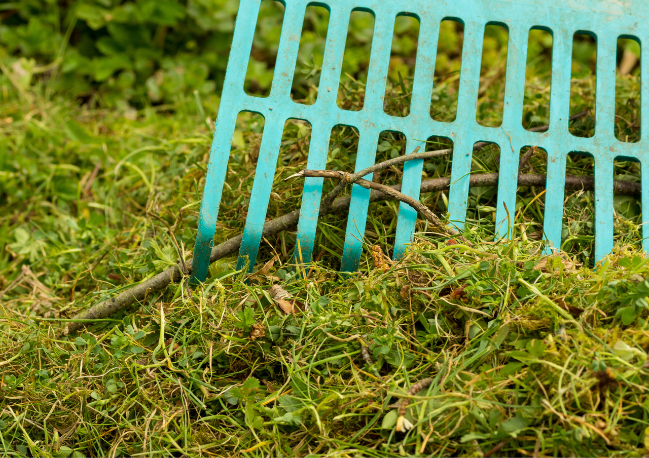 Rack to remove dead grass and debree from lawn