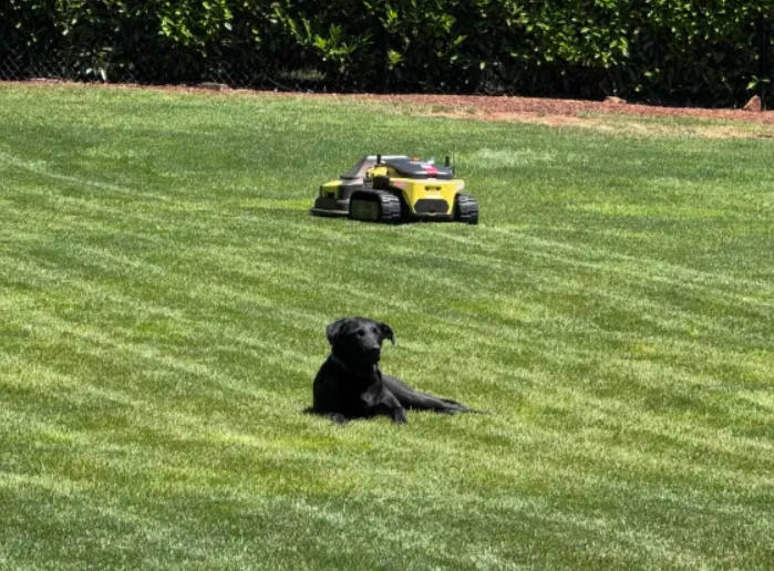 Yarbo Robotic Mowers