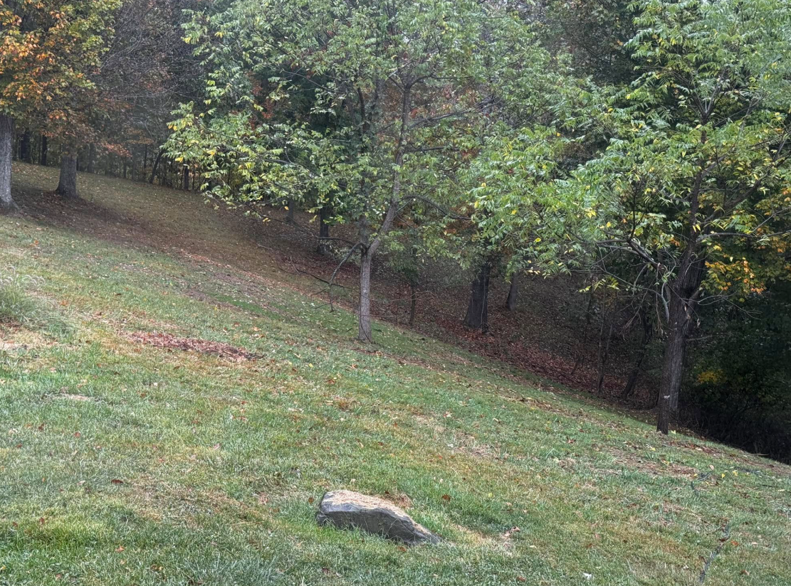 Justin McMillion yard