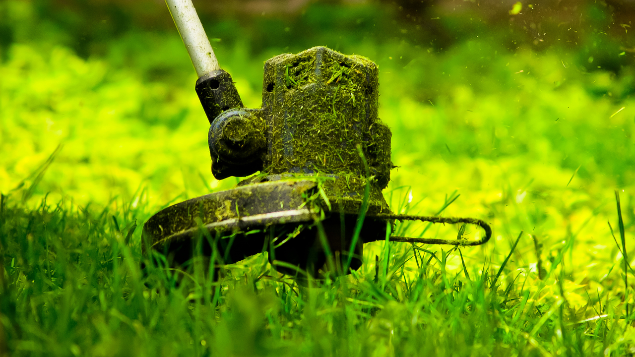 Wet grass clumping on trimmer