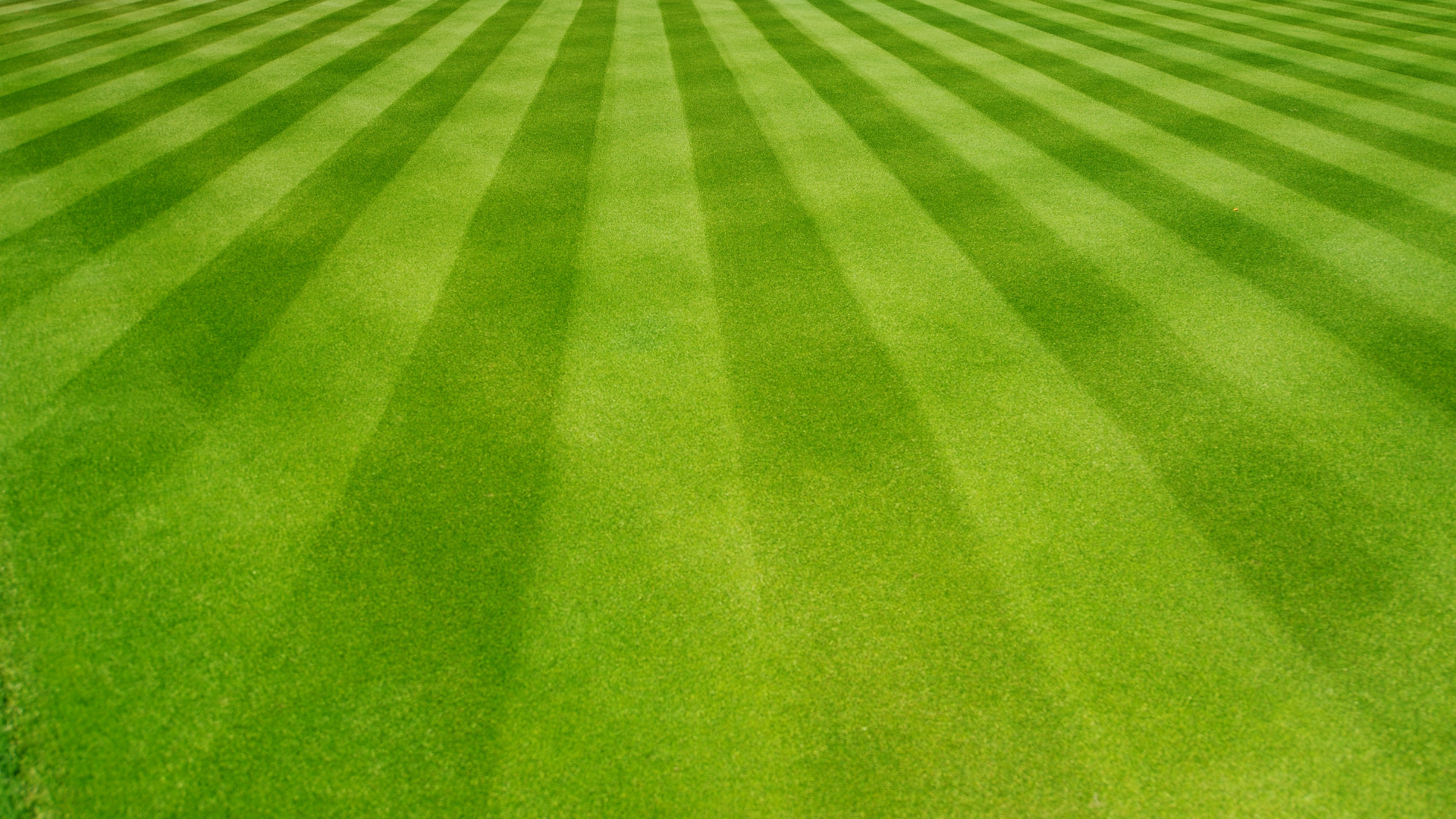 lawn mowing pattern 