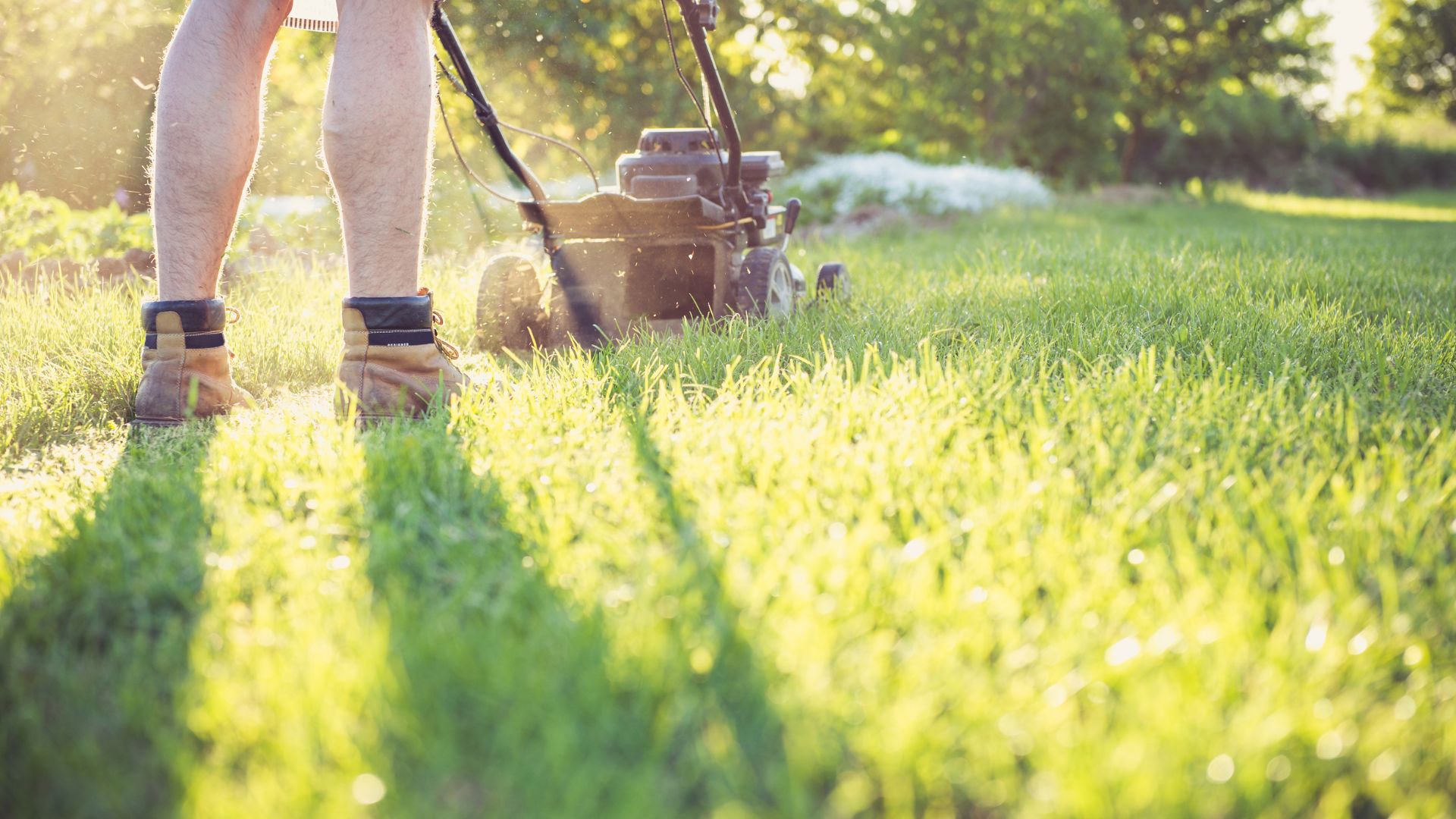 Mowing dry grass 