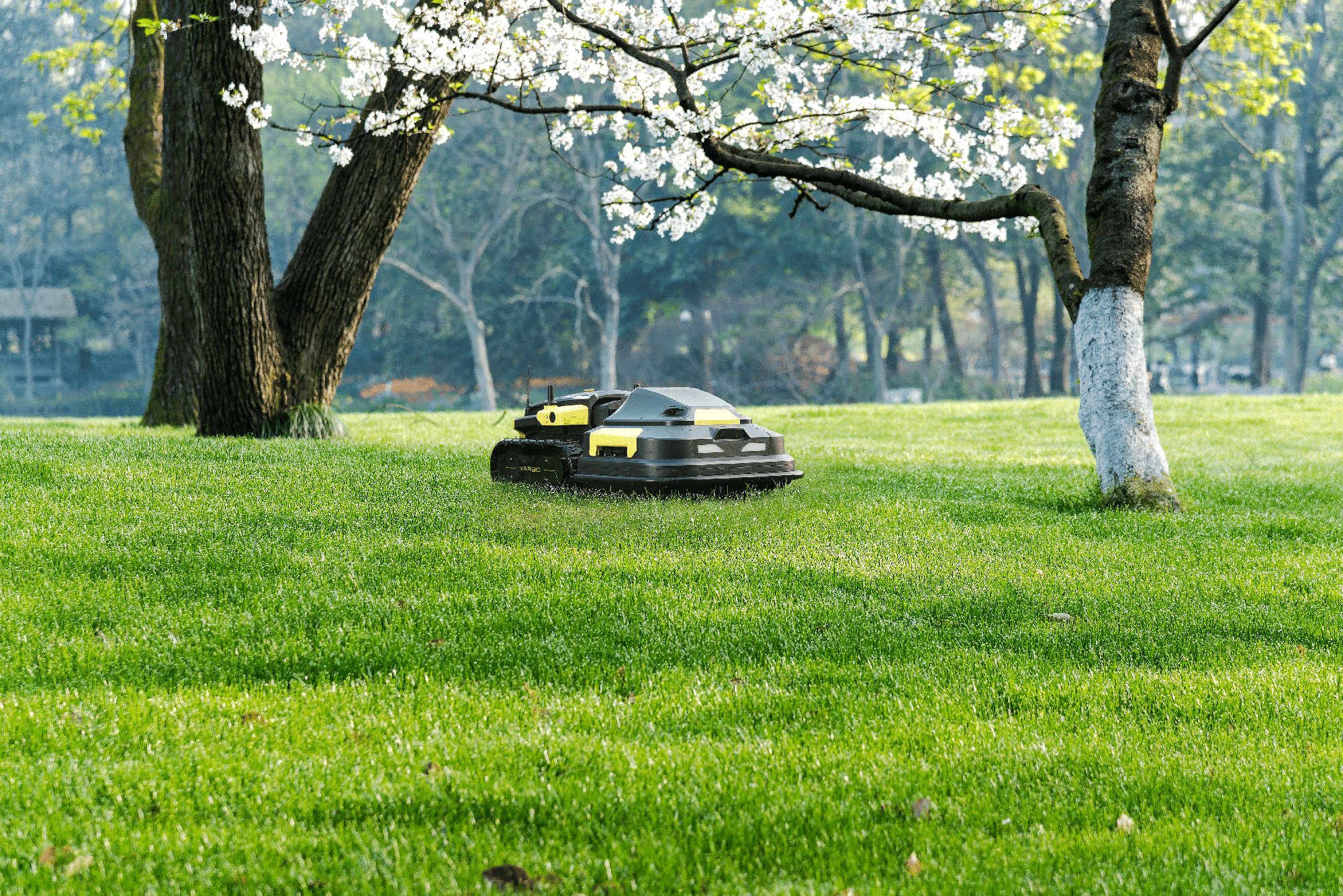 robot lawn mower