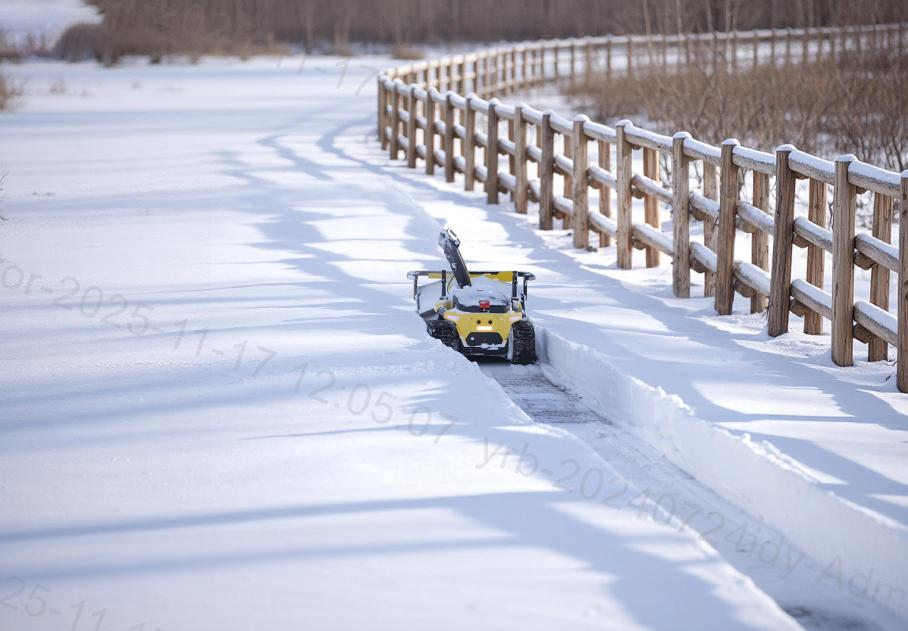best electric snow blower for elderly
