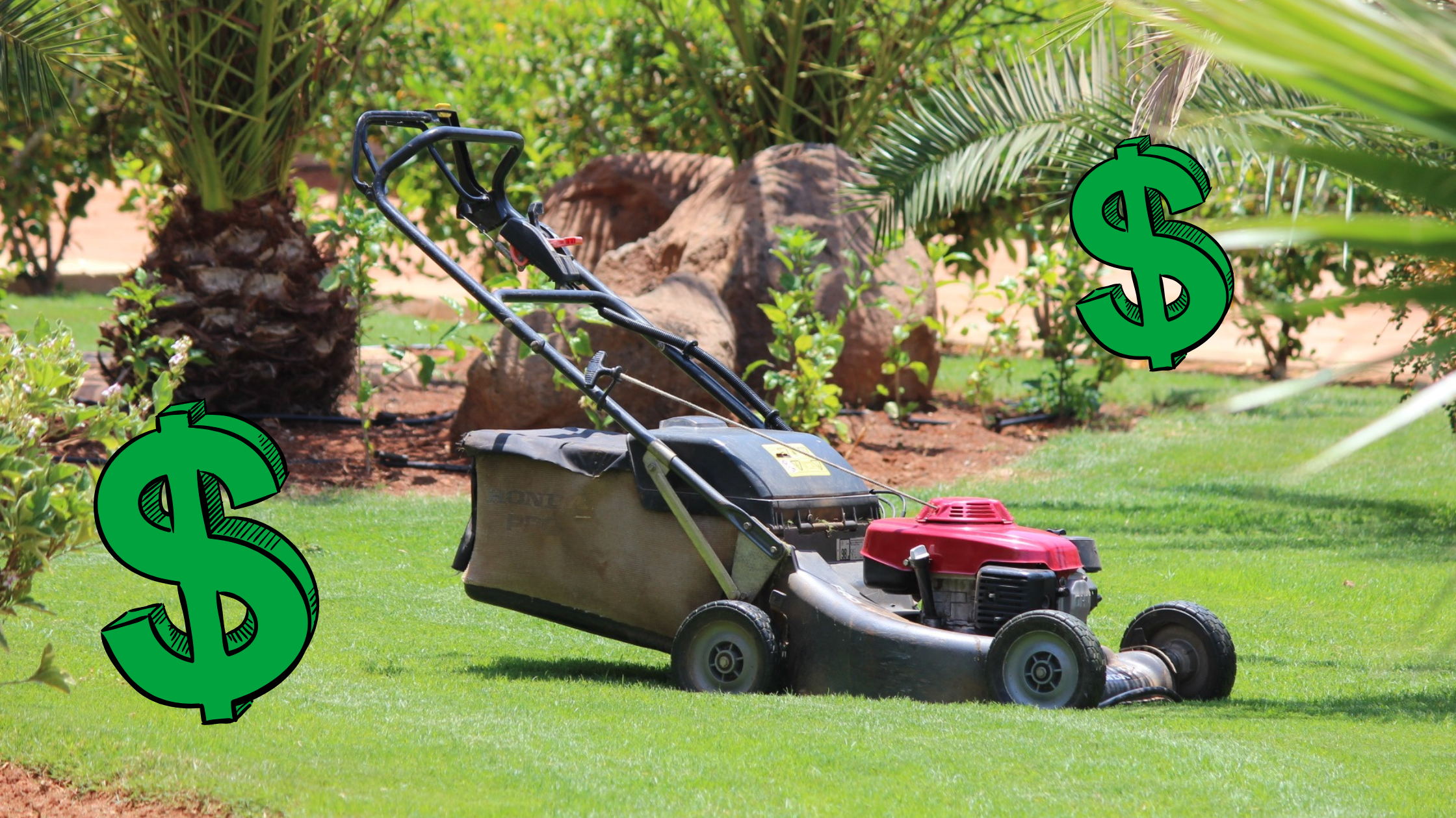 Cost of a lawn mower