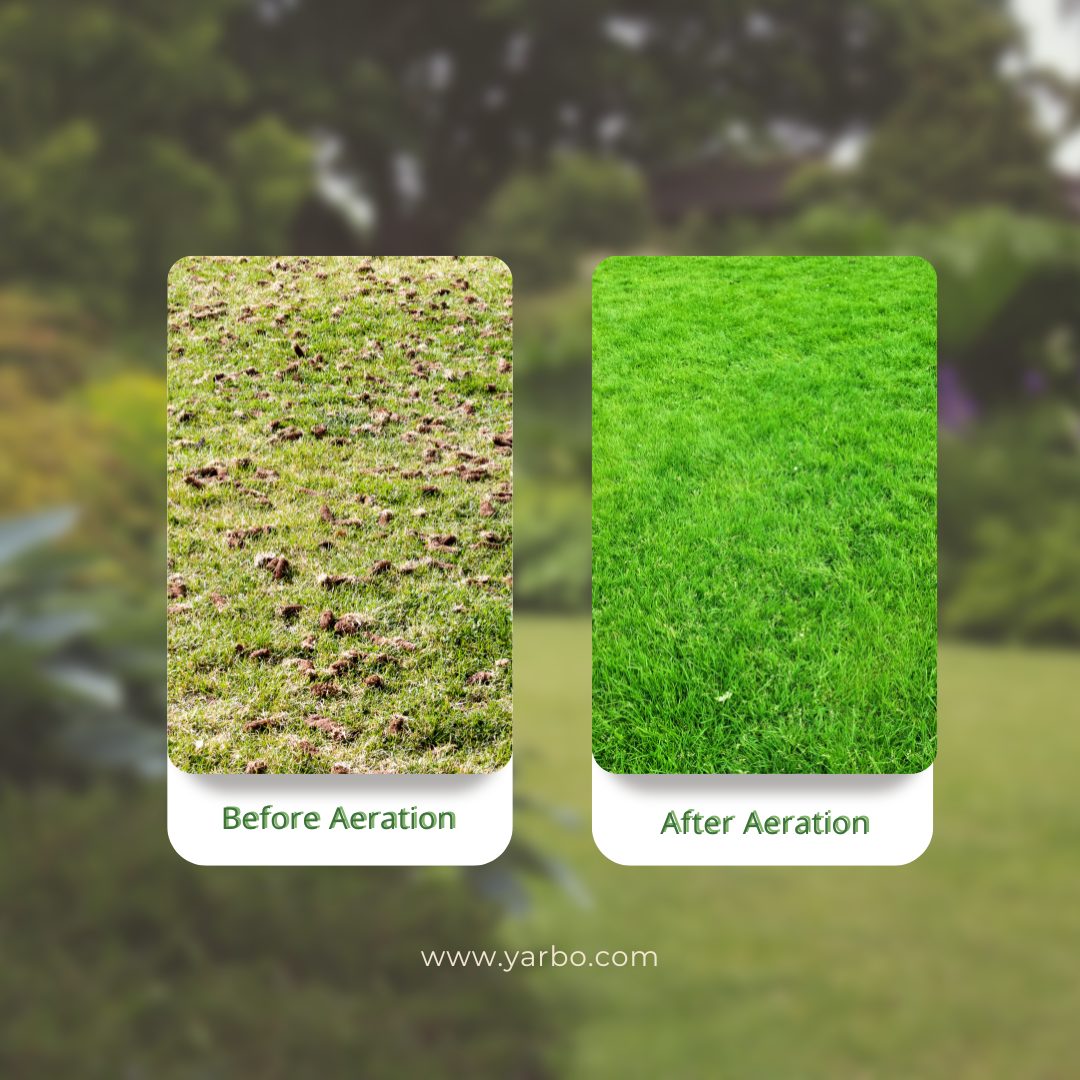 Soil aeration for lawn health