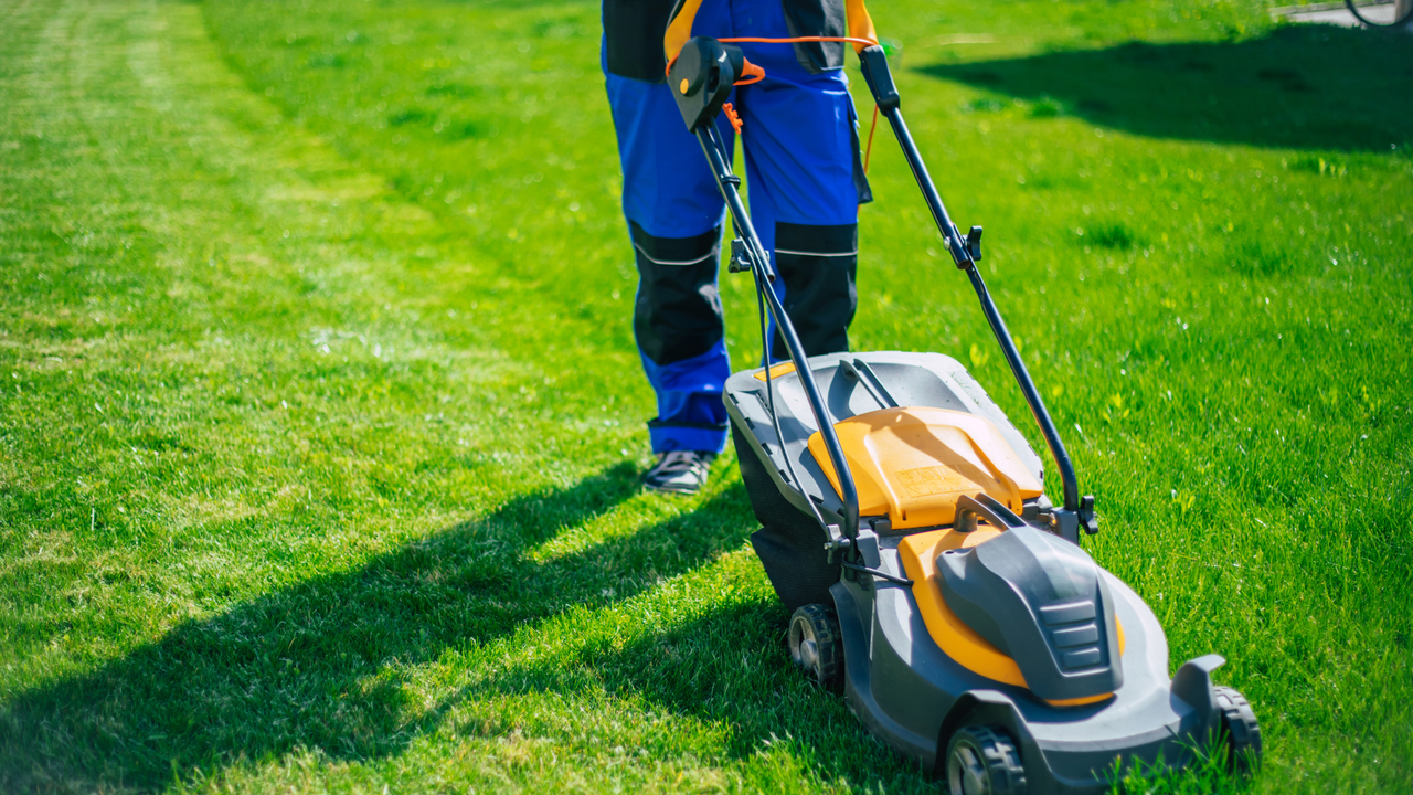 Electric Push Mower