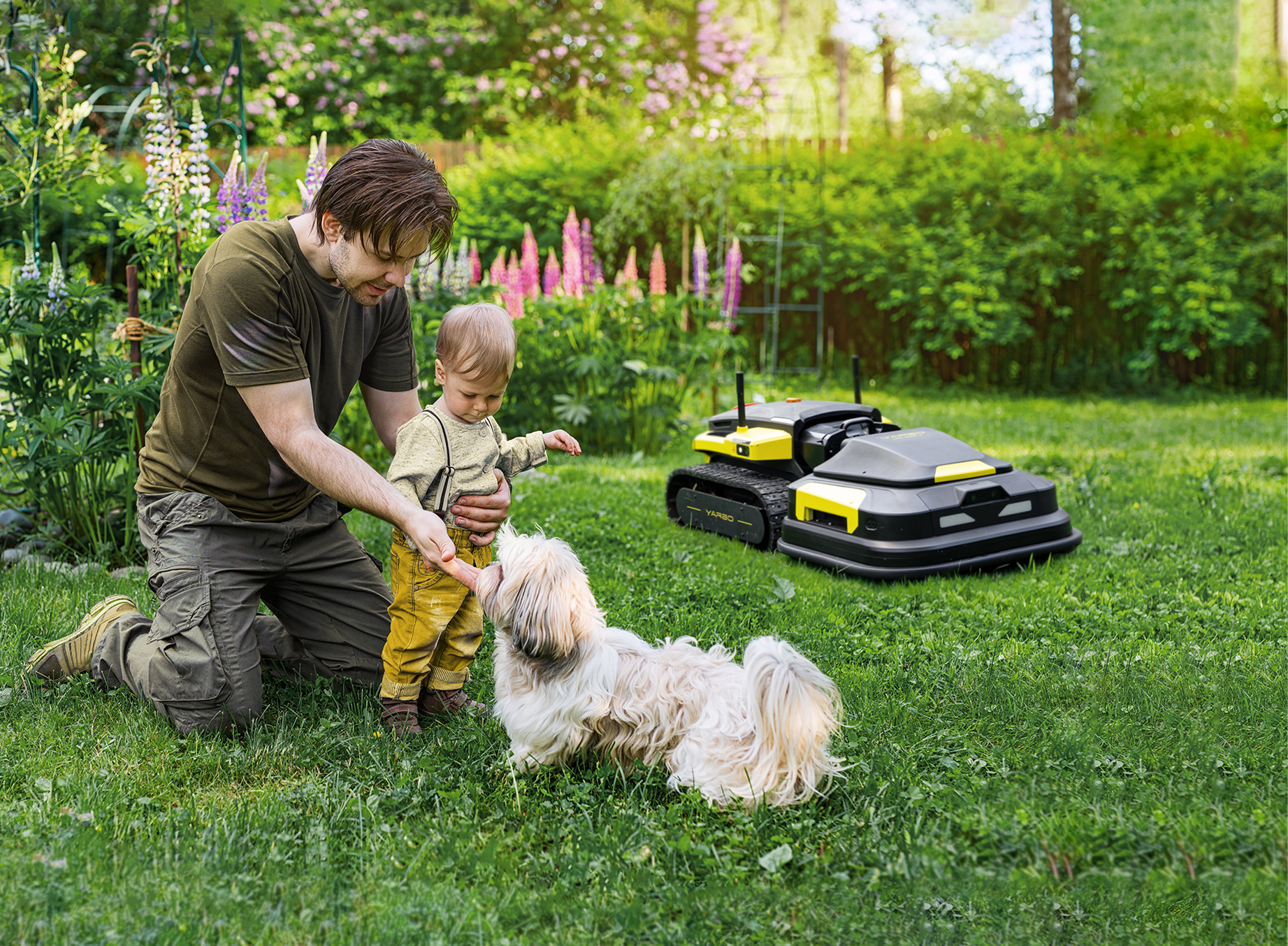 environmentally friendly lawn care