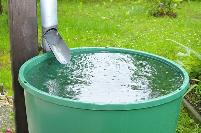 saving rain water in  a bucket 