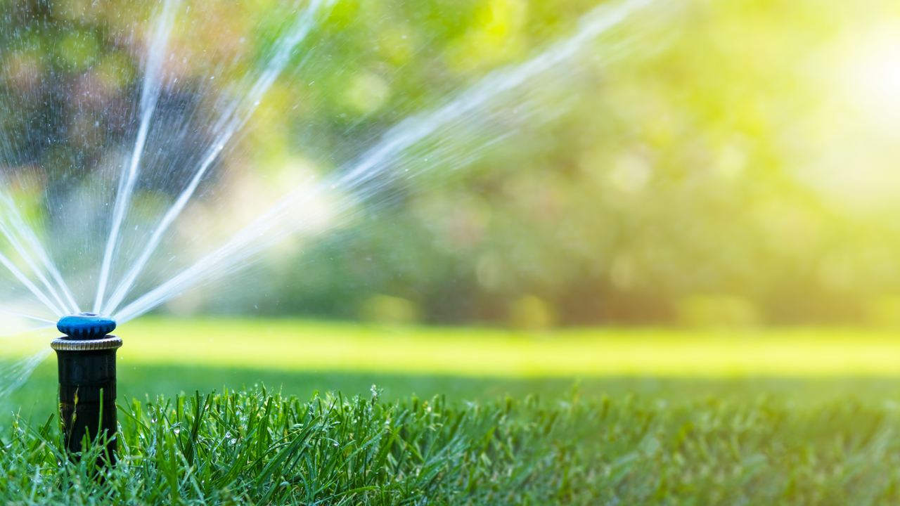 Watering lawn