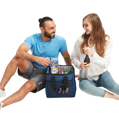 20L Insulated Cooler Bag, Shopping Bags, Thermal, Zipper, Collapsible, Tote, Cooler, Food Transport hot and Cold, Camping, delivery Groceries Freezer, Beach or Picnic Bags