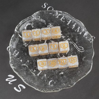 12 Pieces MTG Dice Counters Shield D6 Dice Set