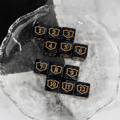 12 Pieces MTG Dice Counters Shield D6 Dice Set
