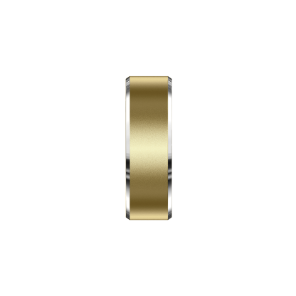 Fenvik Smart Ring