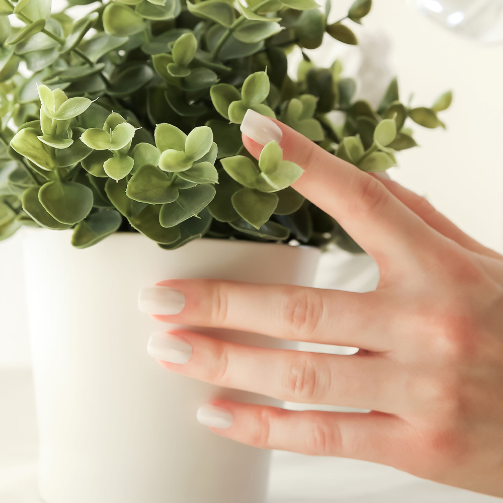 Seed Pearl (Regular Square)