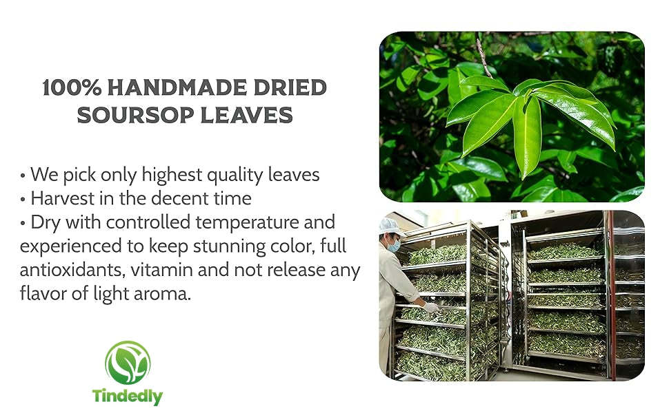 230+ Premium Soursop Graviola Dried Leaves Tea