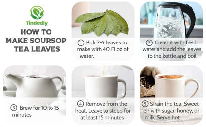 230+ Premium Soursop Graviola Dried Leaves Tea