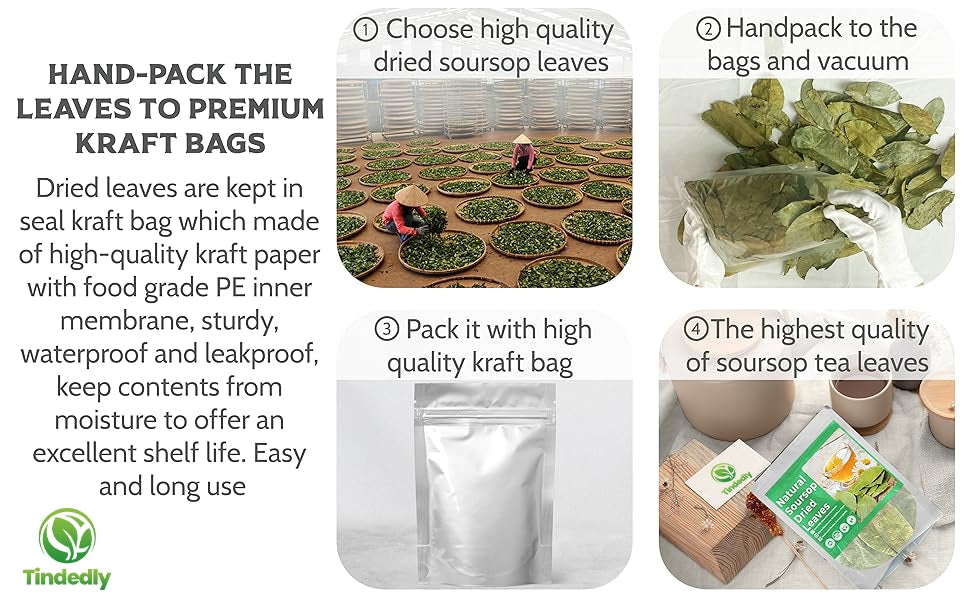 230+ Premium Soursop Graviola Dried Leaves Tea