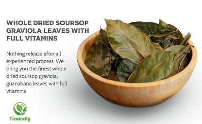 230+ Premium Soursop Graviola Dried Leaves Tea