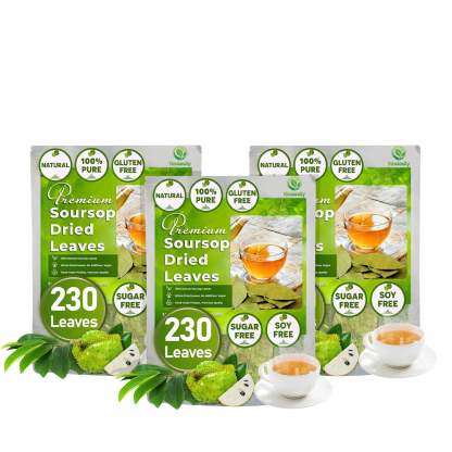 230+ Premium Soursop Graviola Dried Leaves Tea