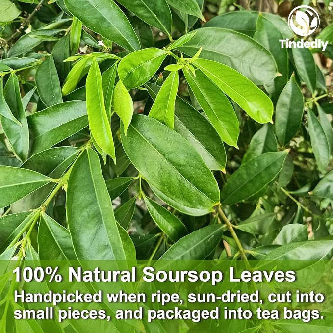 Soursop Leaves Tea Bags - Improve Digestion, Support Healthy Skin & Sleep
