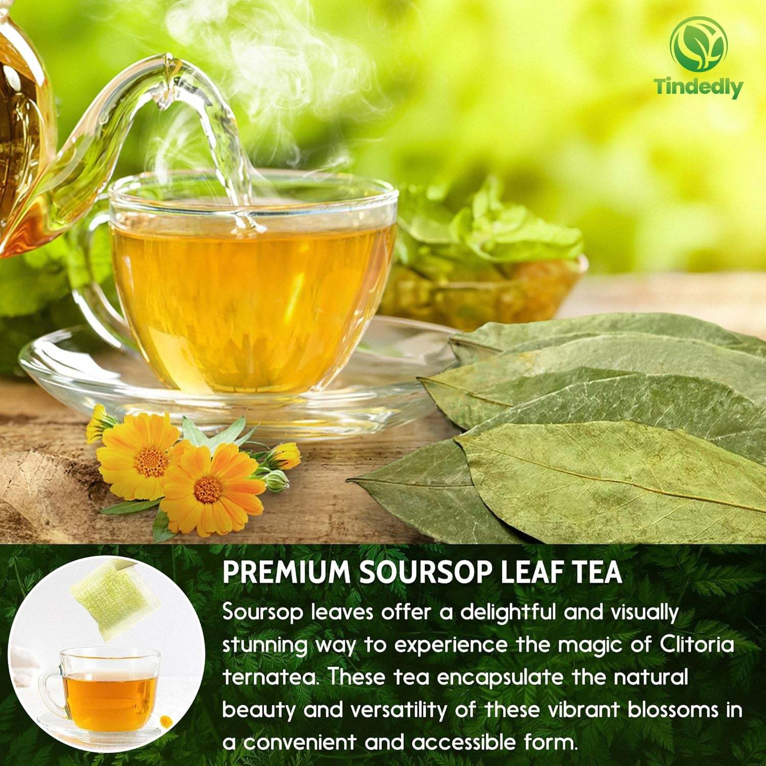 230+ Premium Soursop Graviola Dried Leaves Tea