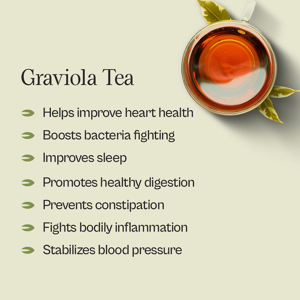 Graviola Leaf Herbal Tea – Natural Wellness in Every Cup