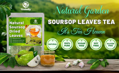 230+ Premium Soursop Graviola Dried Leaves Tea
