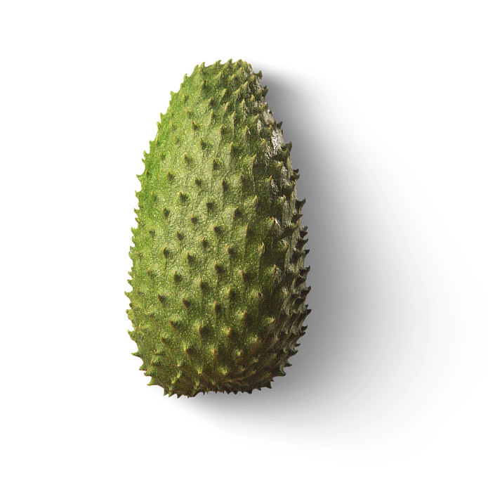Fresh soursop (Annona muricata) fruit