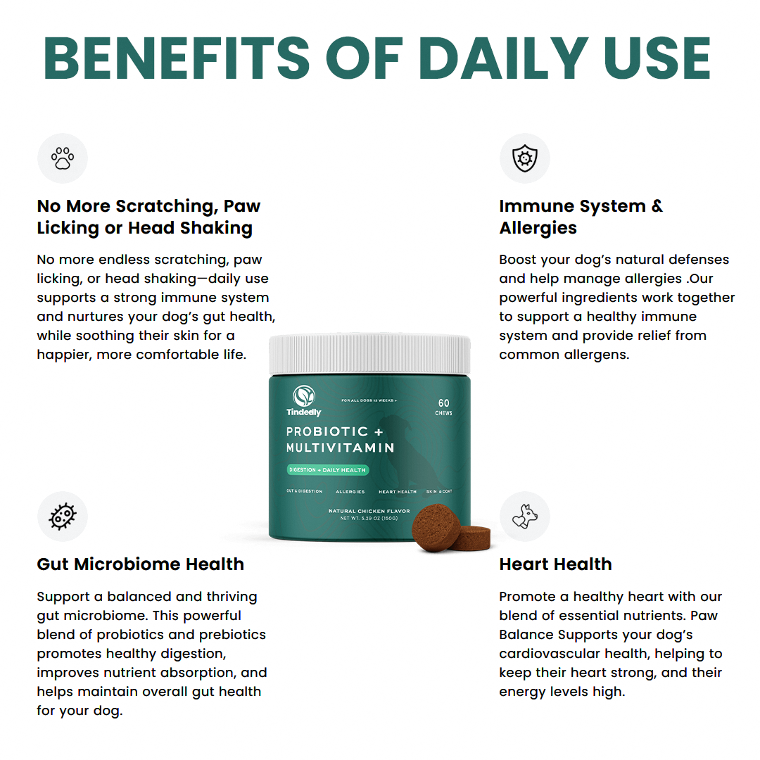 Probiotic Chews For Dogs