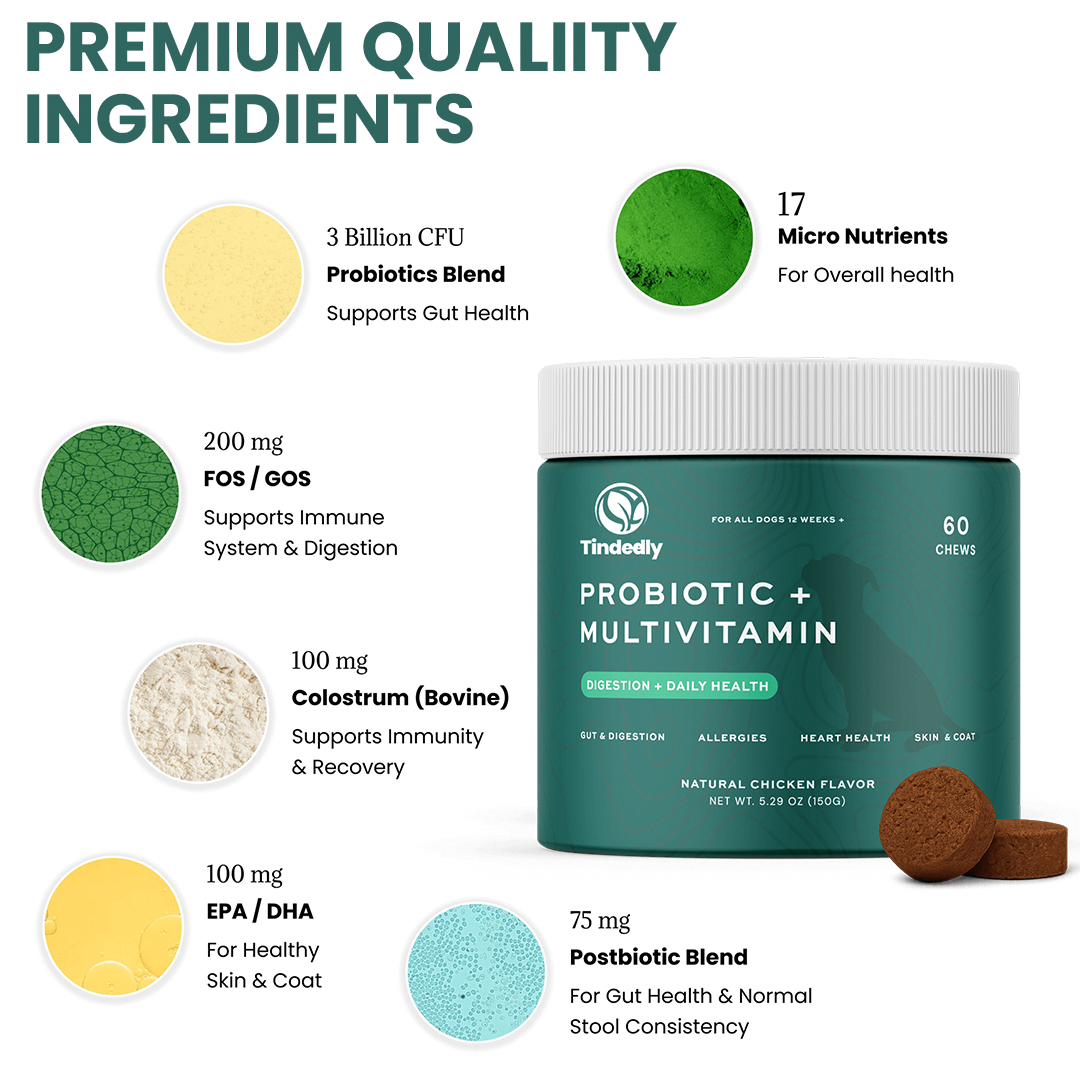 Probiotic Chews For Dogs