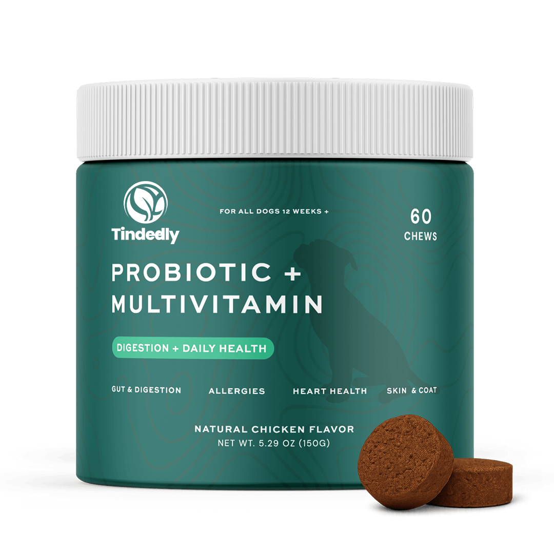 Probiotic Chews For Dogs