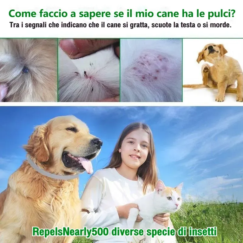 Collare antipulci e zecche Pro Guard per cani
